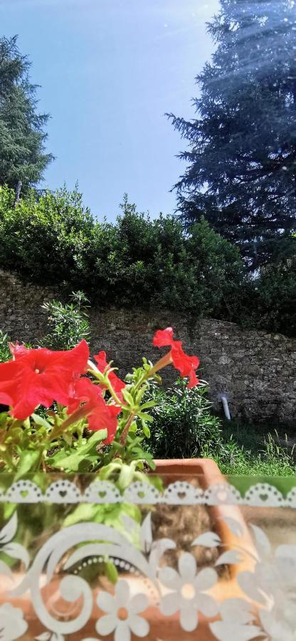 La Maison De Jardin Lucca Luaran gambar