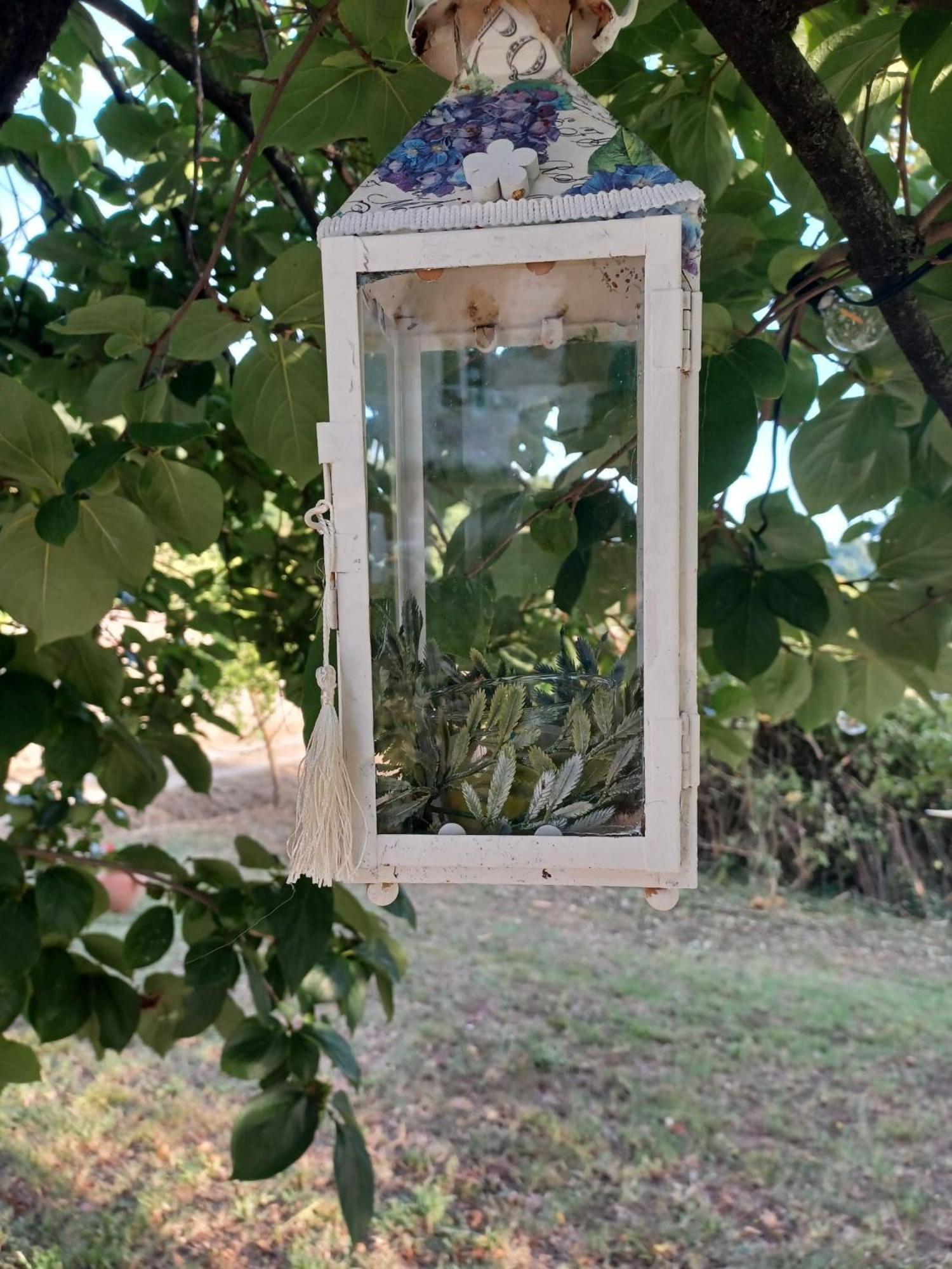 La Maison De Jardin Lucca Luaran gambar